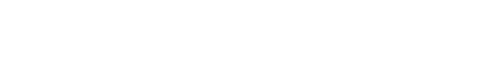 Bitloader
